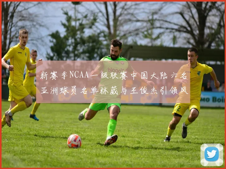新赛季NCAA一级联赛中国大陆六名亚洲球员名单林葳与王俊杰引领风骚