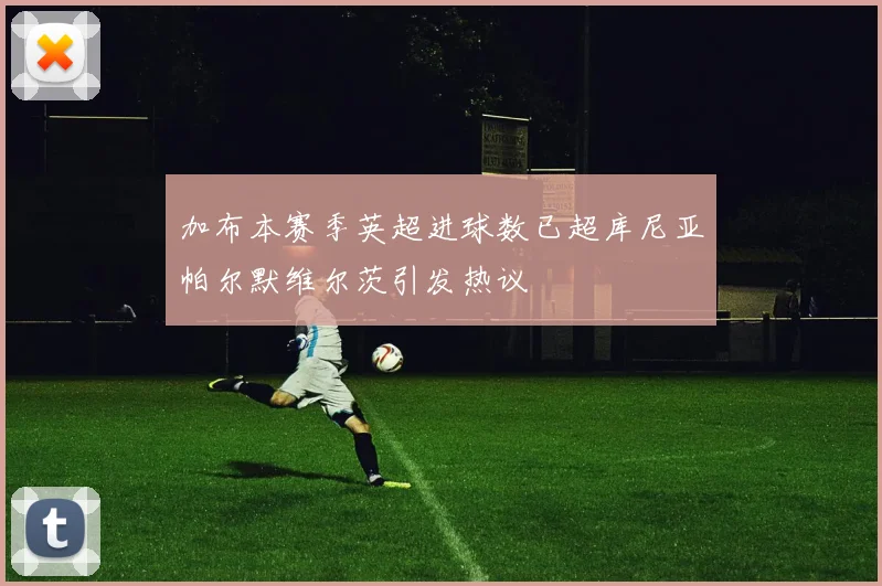 加布本赛季英超进球数已超库尼亚帕尔默维尔茨引发热议
