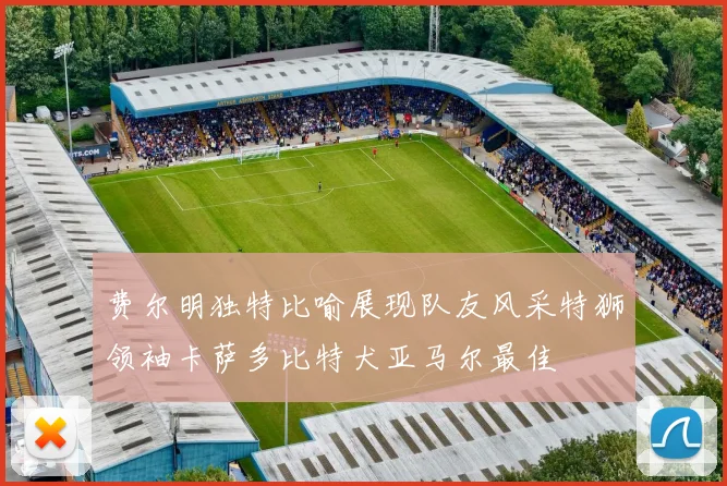 费尔明独特比喻展现队友风采特狮领袖卡萨多比特犬亚马尔最佳