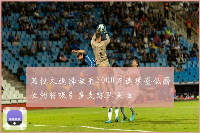 若拉文选择放弃5000万选项签低薪长约将吸引多支球队关注